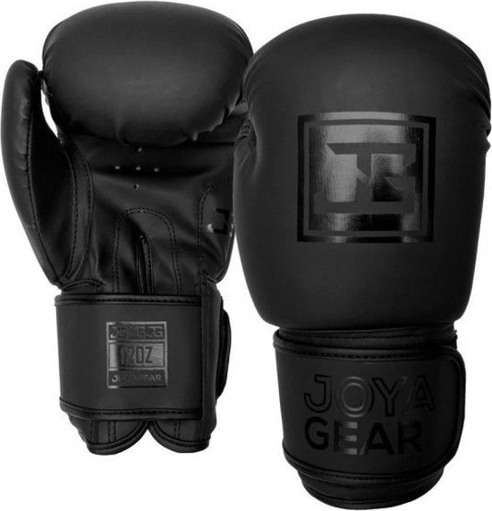 Leone 1947 Explosion Handschoenen, Zwart, 16 oz Leone 1947 Explosion Handschoenen, Zwart, 16 oz