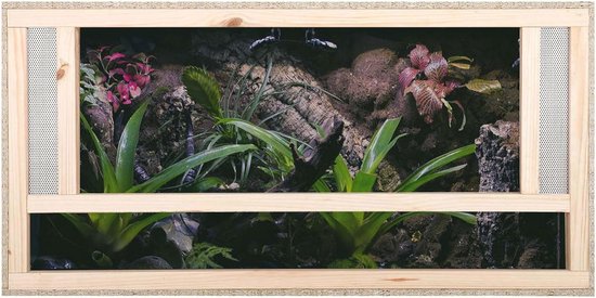 Zanzibar: Mnemba Eiland Tour & Nungwi Schildpadden Aquarium Ticket