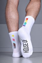 Chaussettes Pride House of Riegillio - Homme - Taille : 39-42 / Pride