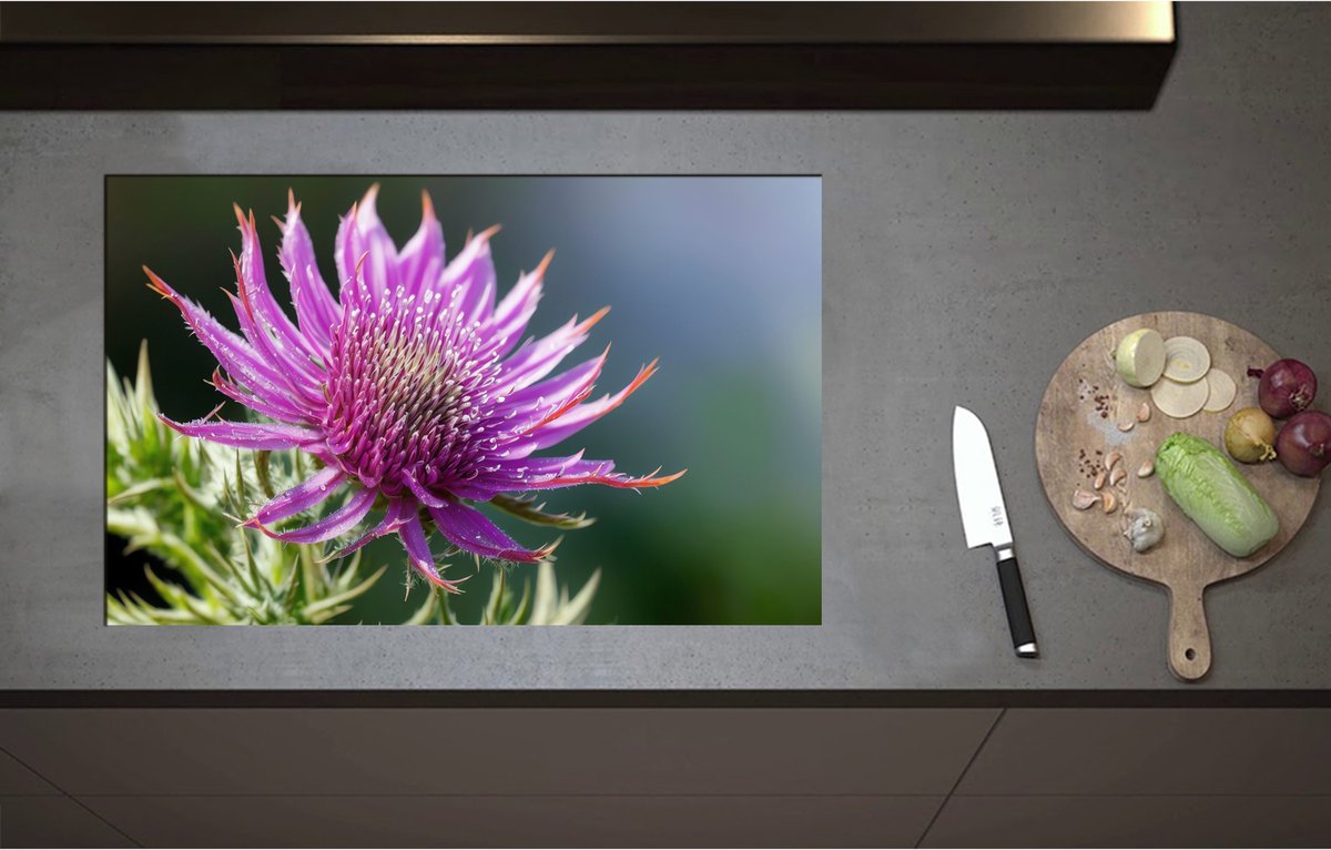 Inductieplaat Beschermer - Close Up van Stekelige Paarse Distel - Bloemen - 85x51 cm - 2 mm Dik - Inductie Beschermer - Bescherming Inductiekookplaat - Kookplaat Beschermer van Zwart Vinyl