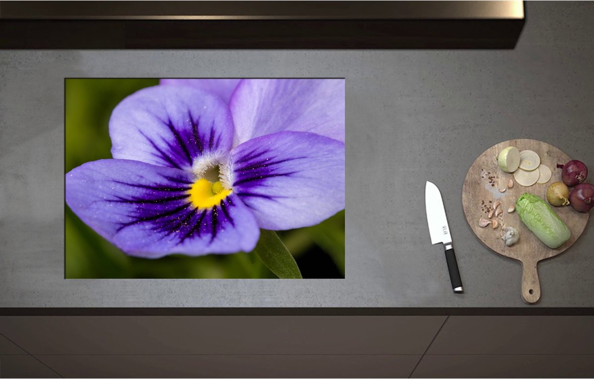 Inductieplaat Beschermer - Close Up van Paars Viooltje met Fel Geel Midden - Bloemen - 71x51 cm - 2 mm Dik - Inductie Beschermer - Bescherming Inductiekookplaat - Kookplaat Beschermer van Wit Vinyl