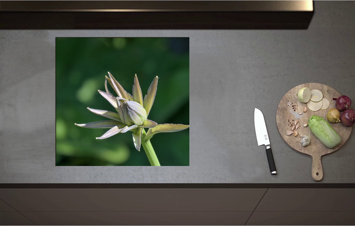 Inductieplaat Beschermer - Close Up van Paars met Groene Hosta Bloem - 57x55 cm - 2 mm Dik - Inductie Beschermer - Bescherming Inductiekookplaat - Kookplaat Beschermer van Wit Vinyl