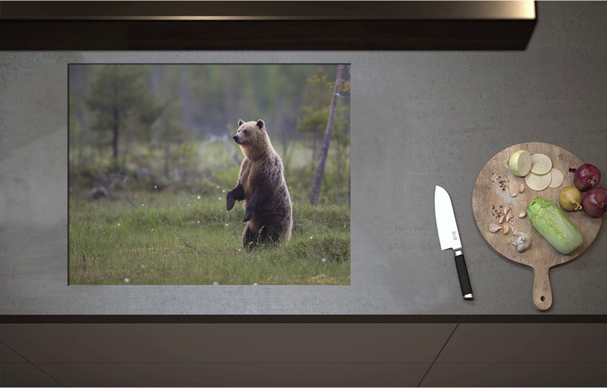 Inductieplaat Beschermer - Bruine Beer Staand in de Bossen - 70x55 cm - 2 mm Dik - Inductie Beschermer - Bescherming Inductiekookplaat - Kookplaat Beschermer van Wit Vinyl
