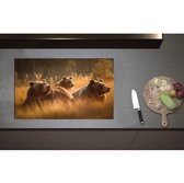 Inductieplaat Beschermer - Bruine beren in bruin gekleurd hoog gras - 80x50 cm - 2 mm Dik - Inductie Beschermer - Bescherming Inductiekookplaat - Kookplaat Beschermer van Zwart Vinyl