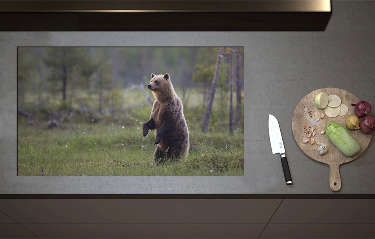 Inductieplaat Beschermer - Bruine Beer Staand in de Bossen - 90x52 cm - 2 mm Dik - Inductie Beschermer - Bescherming Inductiekookplaat - Kookplaat Beschermer van Wit Vinyl