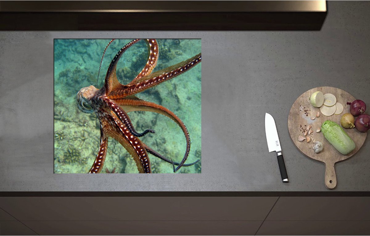 Inductieplaat Beschermer - Bruine octopus zwemt door de zee heen - 60x55 cm - 2 mm Dik - Inductie Beschermer - Bescherming Inductiekookplaat - Kookplaat Beschermer van Wit Vinyl