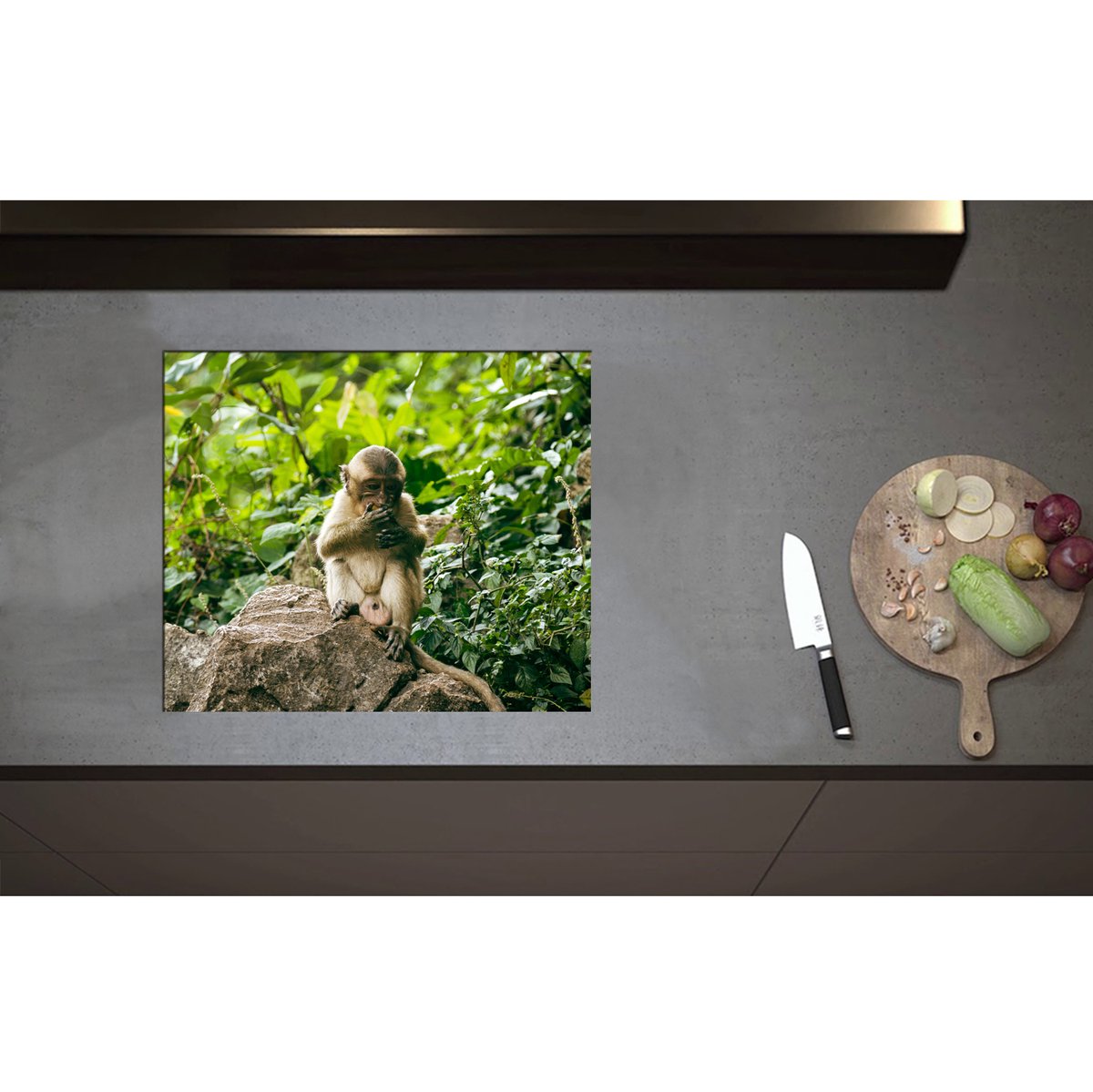 Inductieplaat Beschermer - Bruine Makaak Aap op Rots in Groene Omgeving - 59x50 cm - 2 mm Dik - Inductie Beschermer - Bescherming Inductiekookplaat - Kookplaat Beschermer van Zwart Vinyl