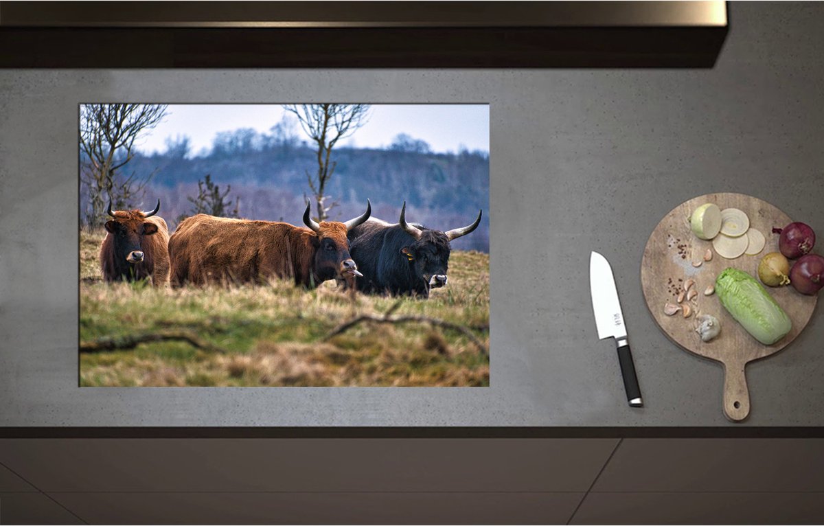 Inductieplaat Beschermer - Bruine en zwarte stieren staan in de natuur - 75x52 cm - 2 mm Dik - Inductie Beschermer - Bescherming Inductiekookplaat - Kookplaat Beschermer van Wit Vinyl