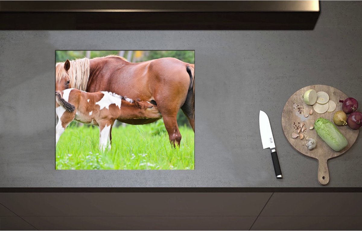 Inductieplaat Beschermer - Bruin met Wit Gevlekt Veulentje Drinkend bij Moeder in het Grasveld - 58x50 cm - 2 mm Dik - Inductie Beschermer - Bescherming Inductiekookplaat - Kookplaat Beschermer van Zwart Vinyl