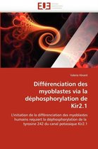 Différenciation des myoblastes via la déphosphorylation de Kir2.1