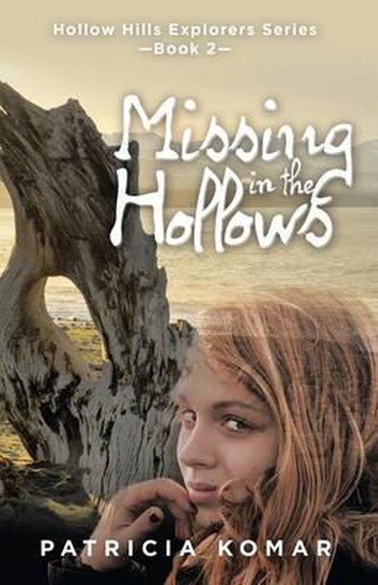 Missing in the Hollows - cover