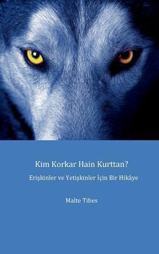 Kim Korkar Hain Kurttan? - cover