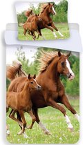 Animal Pictures Paard & Veulen - Dekbedovertrek - Eenpersoons - 140 x 200 cm - Multi