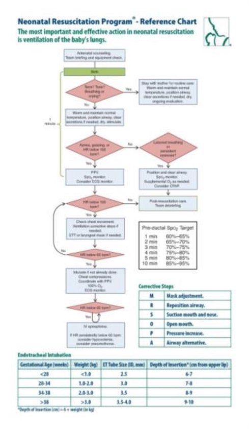 Neonatal Resuscitation Program Reference Chart | bol