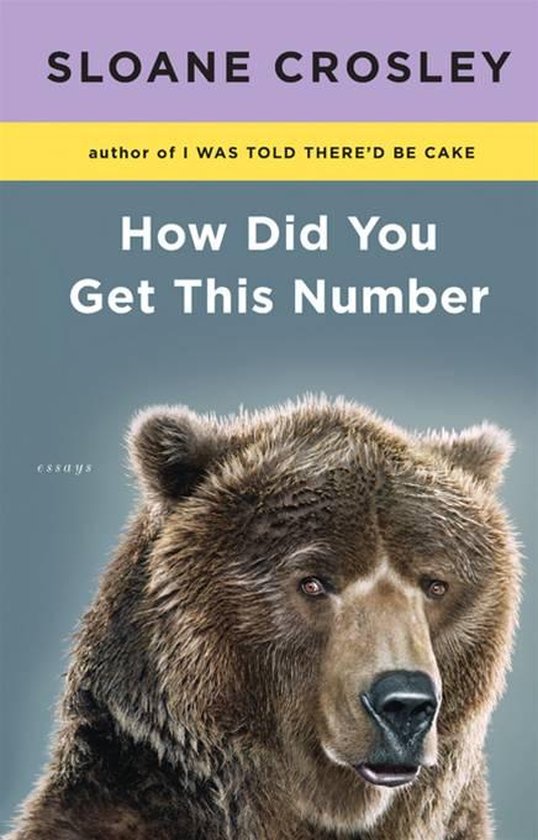 How Did You Get This Number - cover