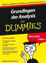 Für Dummies - Grundlagen der Analysis für Dummies