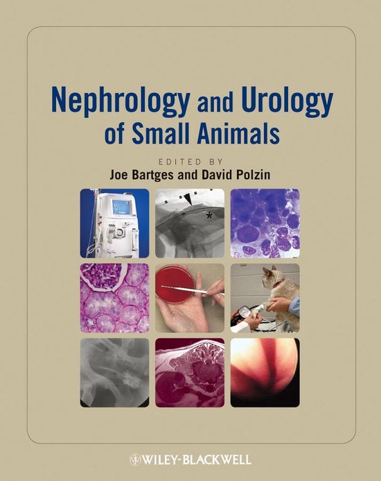 Nephrology and Urology of Small Animals - cover