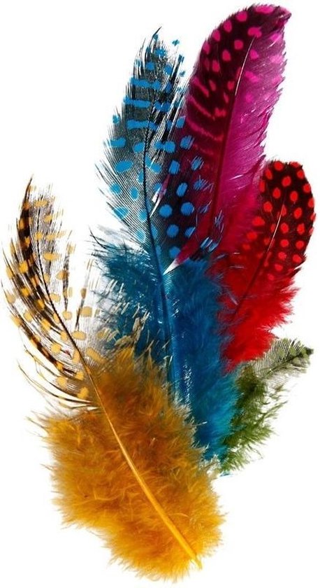 100x Gekleurde parelhoen veren - Vogel decoratie veertjes - hobby veren |  bol.com
