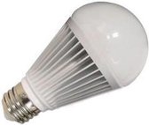 LED lamp E27 Bulb 12W Warm wit
