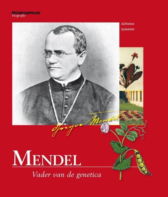 Cover van het boek 'Mendel'