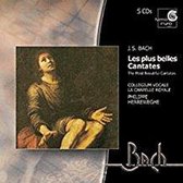 Bach: The Most Beautiful Cantatas