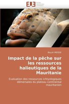 Impact de la pêche sur les ressources halieutiques de la Mauritanie
