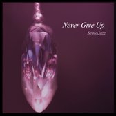 Sebiojazz Ft. Caroline Gsell - Never Give Up (CD)