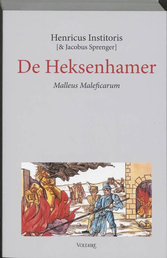 Cover van het boek 'De Heksenhamer'