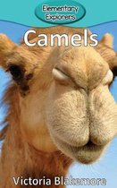 Elementary Explorers- Camels