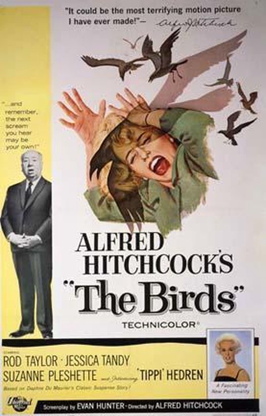The Birds poster - Alfred Hitchcock - Film - Horror - Retro - Vintage - 70 x 100 cm