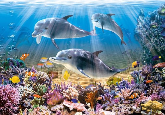 Drie dolfijnen zwemmen in een zonnige oceaan vol met kleurrijk koraal en vissen.
