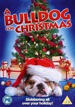 A Bulldog For Christmas (Import)