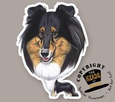 Magneet Hond Schotse Collie