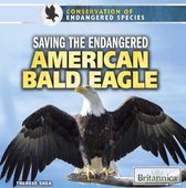 Conservation of Endangered Species - Saving the Endangered American Bald Eagle