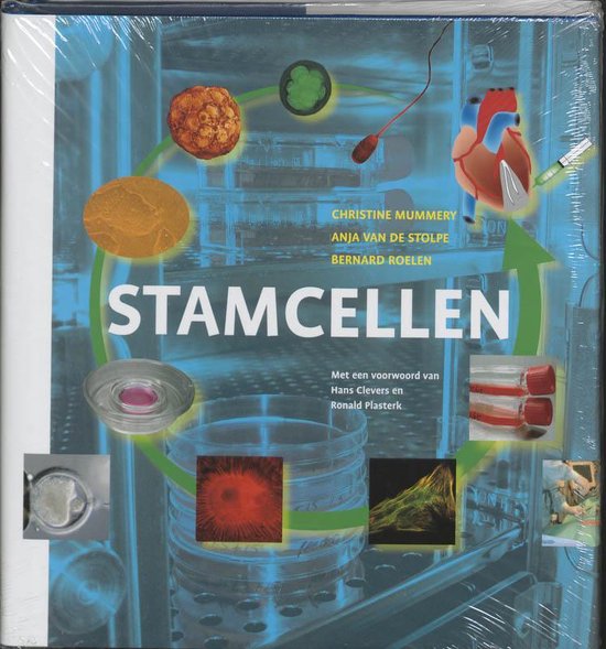Stamcellen - cover