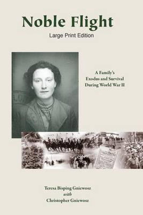 Noble Flight - Large Print Edition - cover