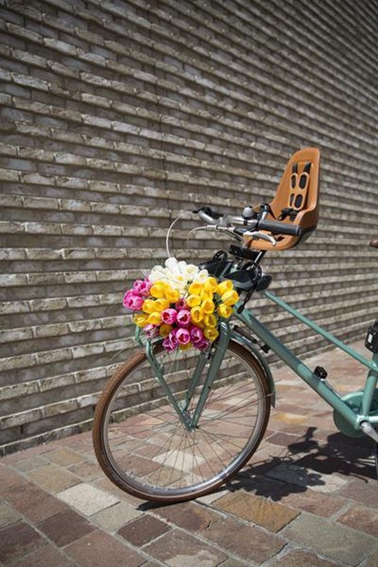 Bruin Bobike fietsstoeltje gemonteerd op een mintgroene fiets met mand vol bloemen.