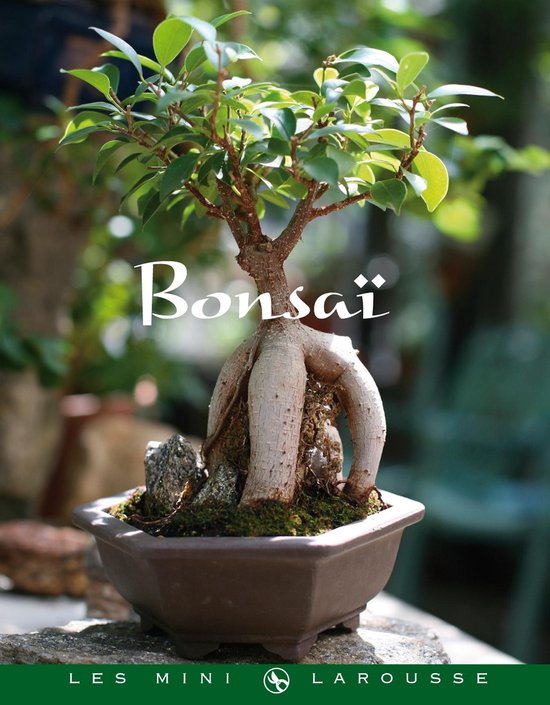 Bonsaï - cover