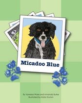 Micadoo Blue