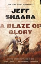 the Civil War in the West 1 - A Blaze of Glory