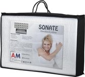 AM Products - Talalay Sonate - Natuurlatex - Kussen - Wit - 14cm