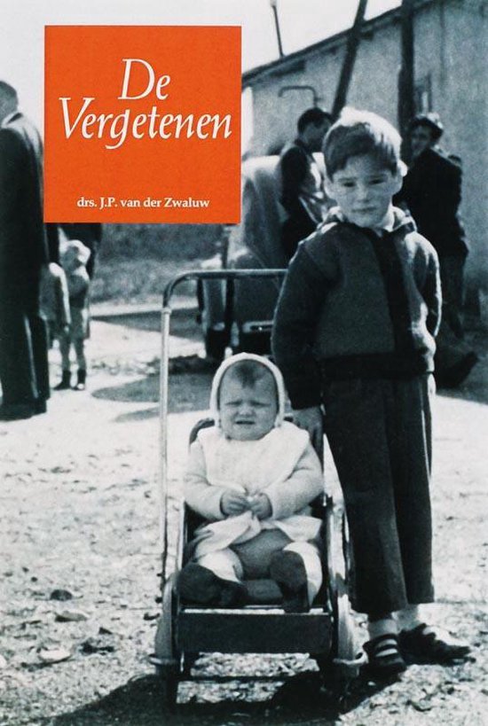 Cover van het boek 'De vergetenen' van J.P. van der Zwaluw