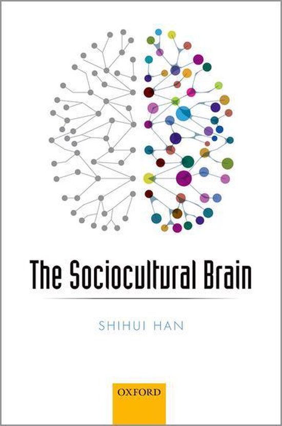 The Sociocultural Brain - cover