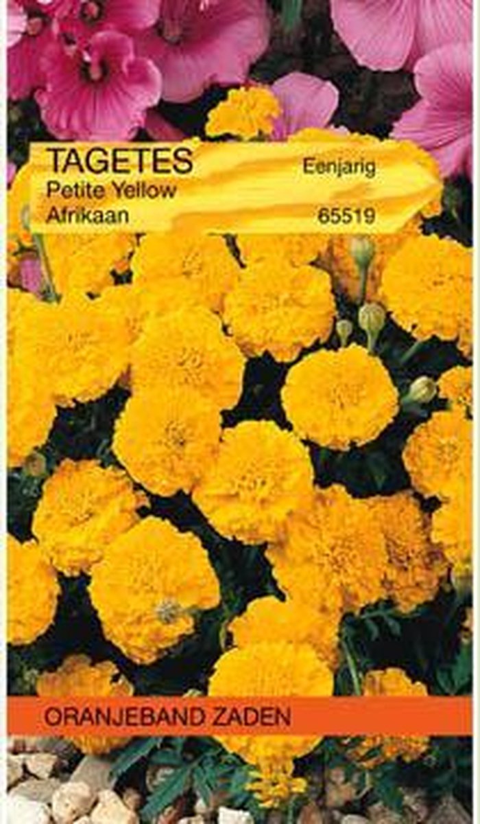 Tagetes, Afrikaan Petite Yellow