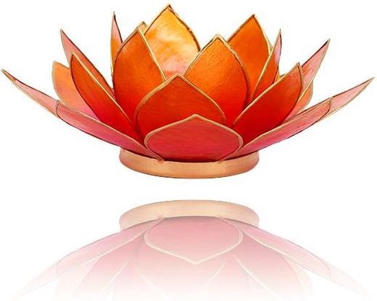 Lotus Atmosphérique Rose Clair - Oranje Bicolore