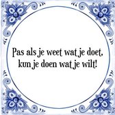 Tegeltje met Spreuk (Tegeltjeswijsheid): Pas als je weet wat je doet, kun je doen wat je wilt! + Kado verpakking & Plakhanger