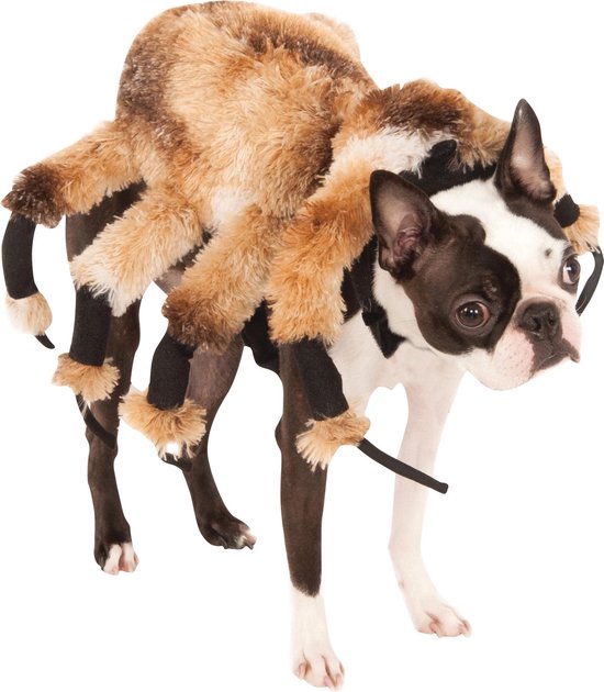 Enorme spin kostuum voor honden - Verkleedattribuut | bol.com