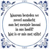 Tegeltje met Spreuk (Tegeltjeswijsheid): Waarom besteden we zoveel aandacht aan het mentale lawaai in ons hoofd? Wat is er mis met stilte! + Kado verpakking & Plakhanger