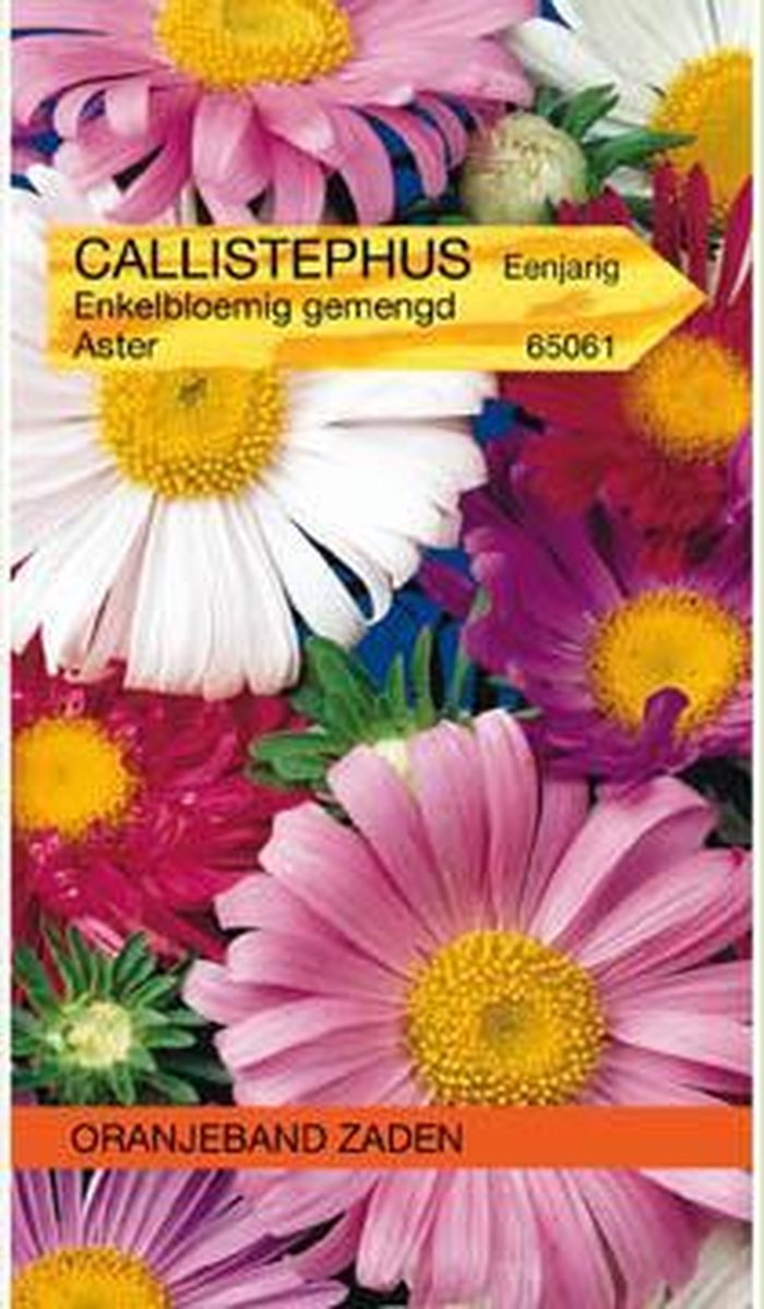 Callistephus, Aster enkelbloemig gemengd