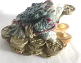 Feng Shui Yuan Bao kikker met munt goud groene kleur 8x10x5.5cm